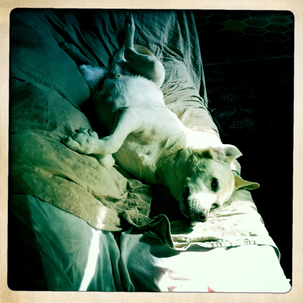 Hip 335695067.890916