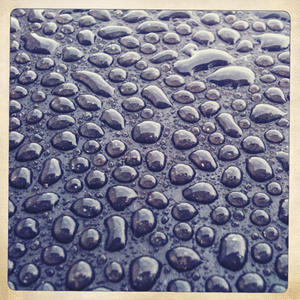 Hip 332549037.002393