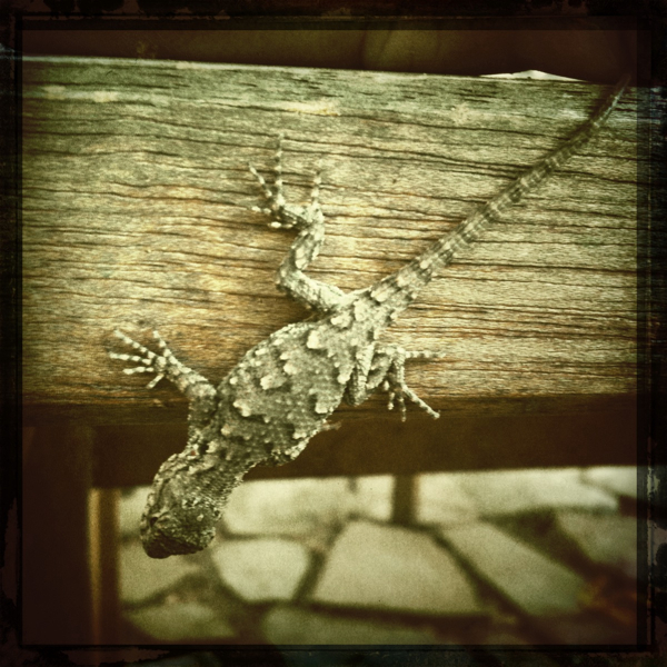 Hip 335820068.562171