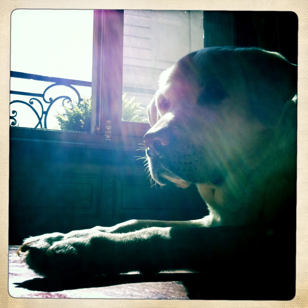 Hip 335525907.603184