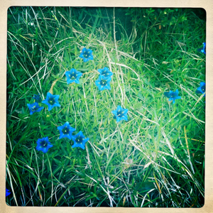 Hip 296394251.025818