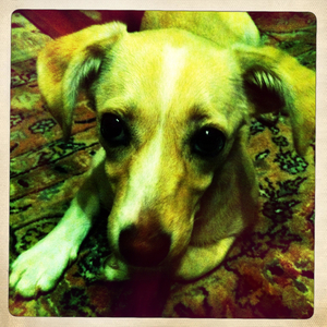 Hip 335821767.735304