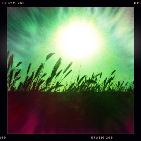 Hip 331696595.340276