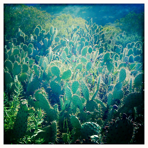 Hip 312589571.652327