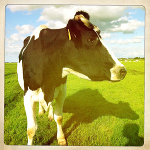 Hip 335203720.682381