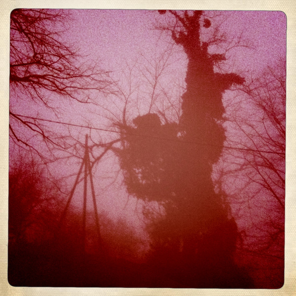 Hip 323366518.117408