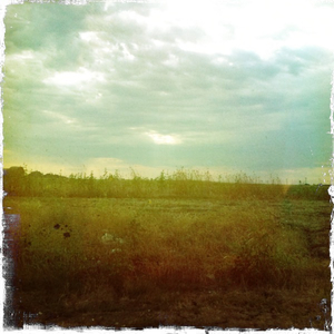 Hip 335282009.132893