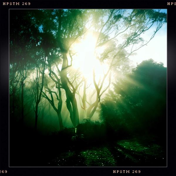 Hip 335828150.501876