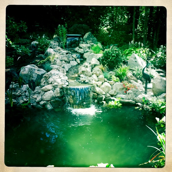 Hip 335829993.626472