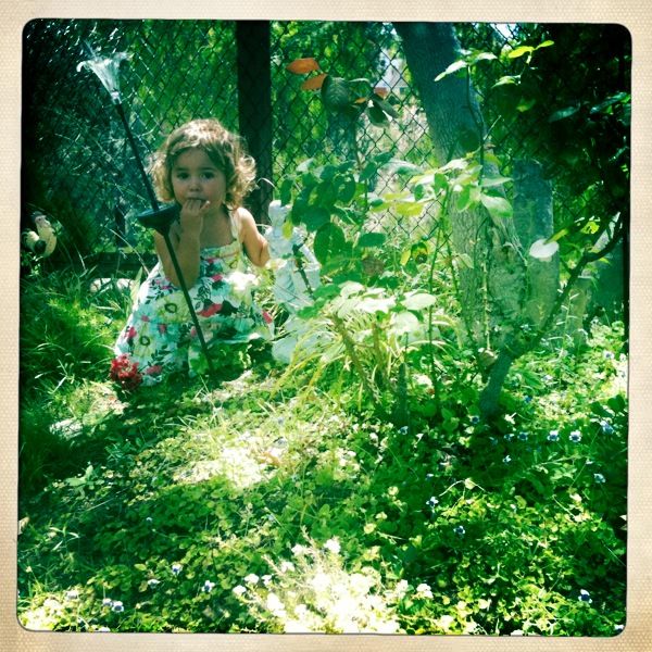 Hip 335646921.111529