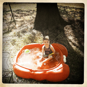 Hip 334337458.501281