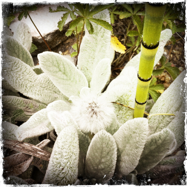 Hip 334331114.272926