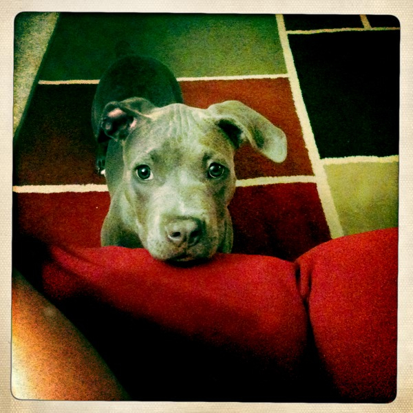 Hip 306819338.749877