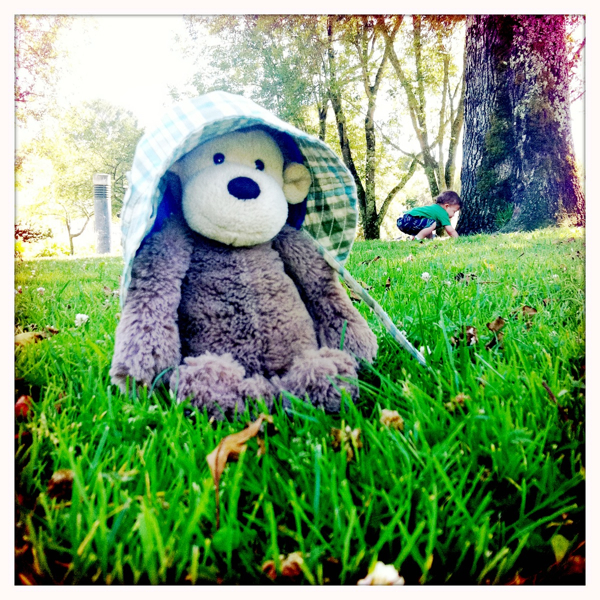 Hip 335828381.835166