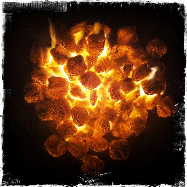 Hip 331888404.131221