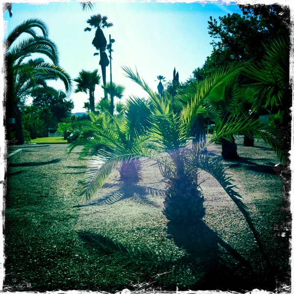 Hip 333938339.534115