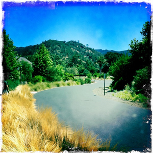 Hip 333917456.115307