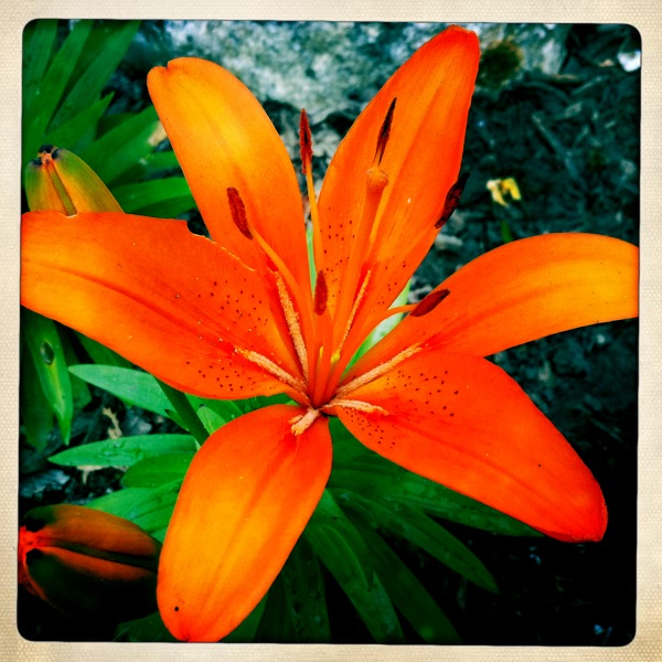 Hip 332028097.165553