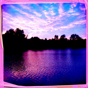 Hip 334110560.867642