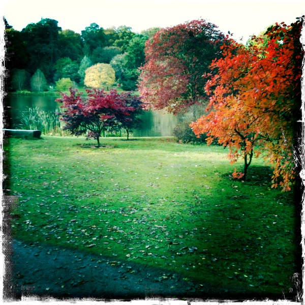 Hip 310139515.914077