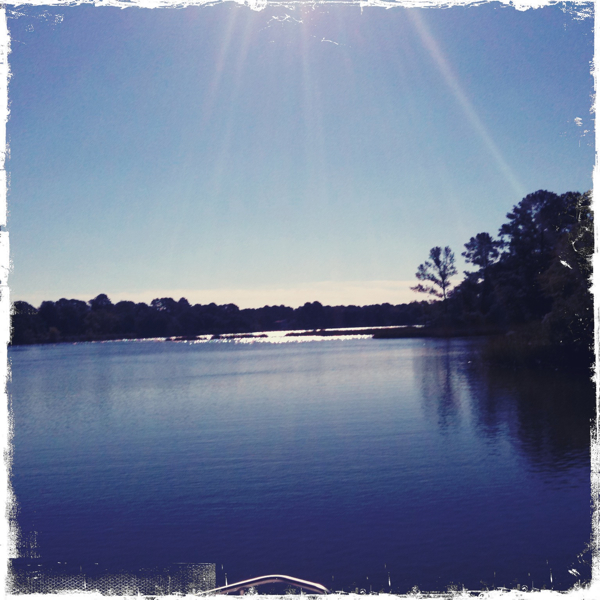 Hip 310057243.160792