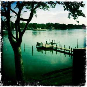 Hip 304521584.308074