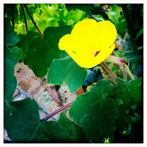 Hip 329409665.667947