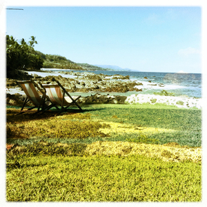 Hip 324335208.545981