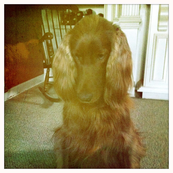 Hip 335836389.780350