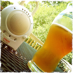 Hip 334872937.407297