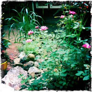 Hip 335824295.273687