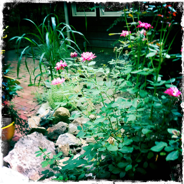 Hip 335824295.273687