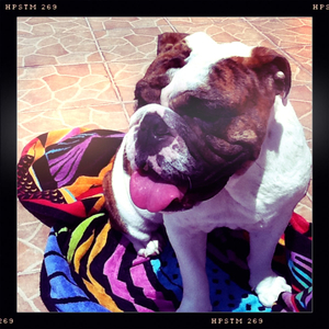 Hip 335290107.887188