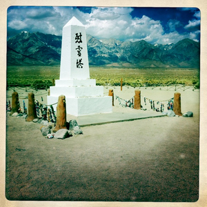 Hip 333656062.670751