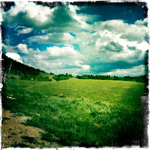 Hip 335574264.447873