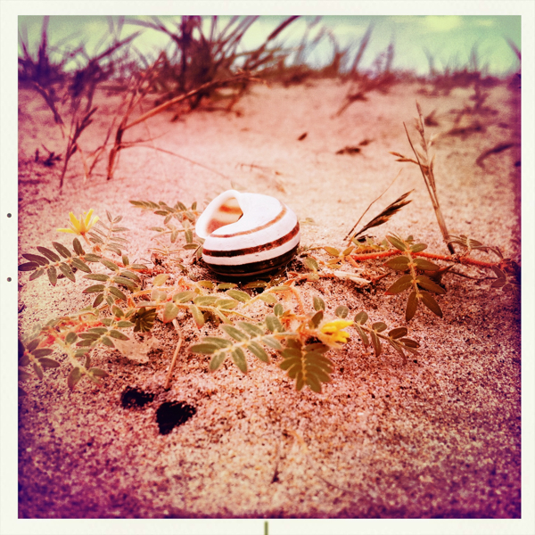 Hip 333548521.545241