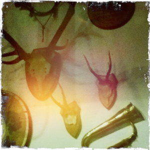 Hip 334883716.237902