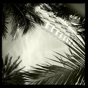 Hip 335822504.259570