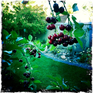 Hip 335842602.188061