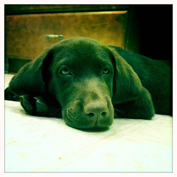 Hip 335840395.285426