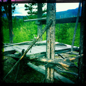 Hip 335748618.578993