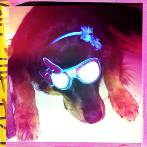 Hip 331319255.290763