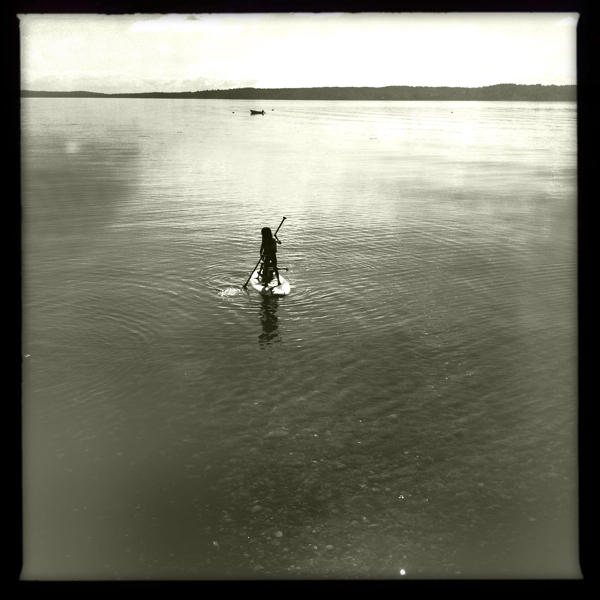 Hip 335830729.690086