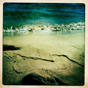 Hip 334023295.928226