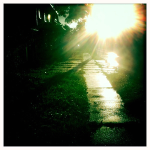 Hip 335661539.455696