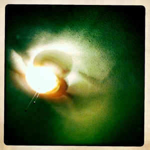 Hip 335847821.520750