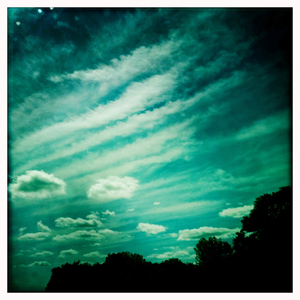 Hip 334700612.280673