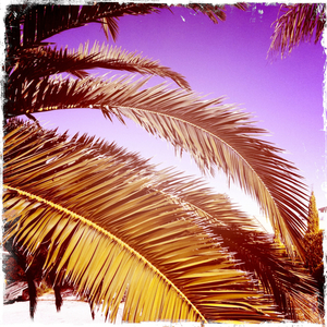 Hip 335759751.415000