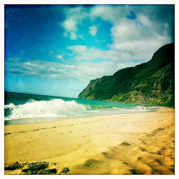 Hip 335848852.848155