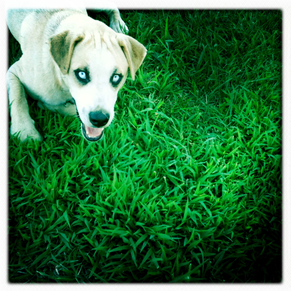 Hip 334193945.716674